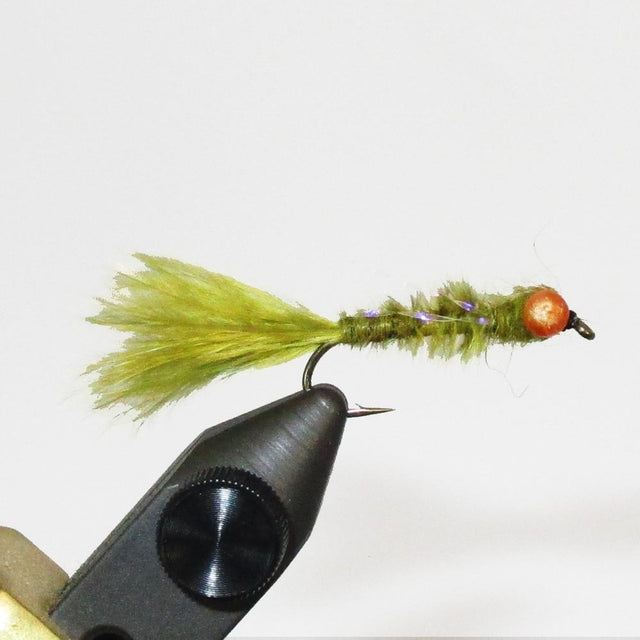 red-eye-damsel-olive.jpg