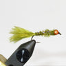 red-eye-damsel-olive.jpg