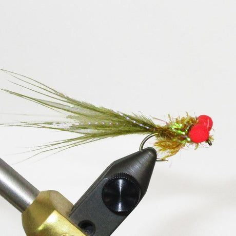 foam-eye-damsel-olive.jpg