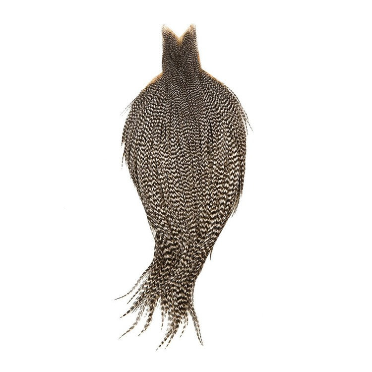 whiting-highdry-grz-cape.jpg