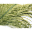 veniard-ostrich-hurl.jpg