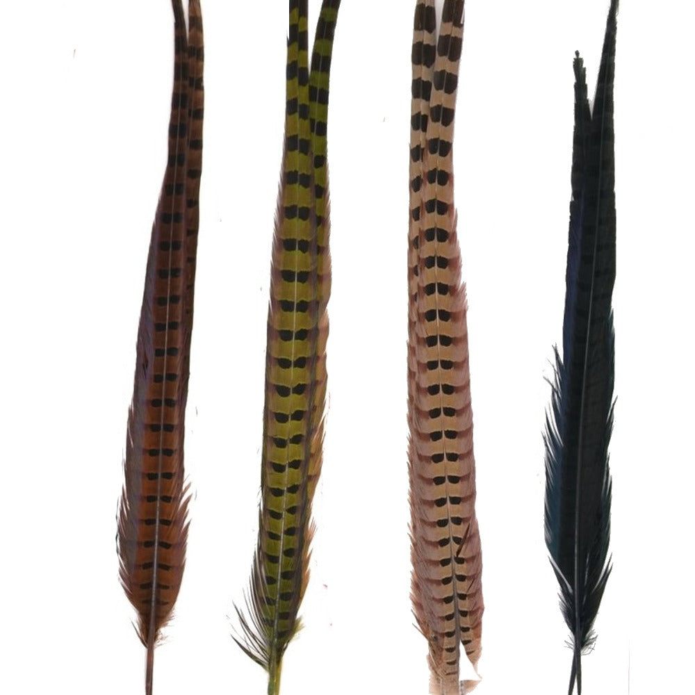 Hareline-Ringneck-Pheasant-Tail-Feathers-5.jpg