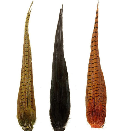 veniard-phesant-tails.jpg
