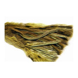 vn-mic-zon-pine-sq.jpg