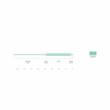 Scientific-Anglers-Frequency-Intermediate-02.jpg