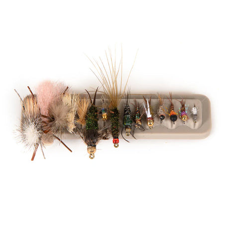Tacky-Fly-Dock20-2.jpg