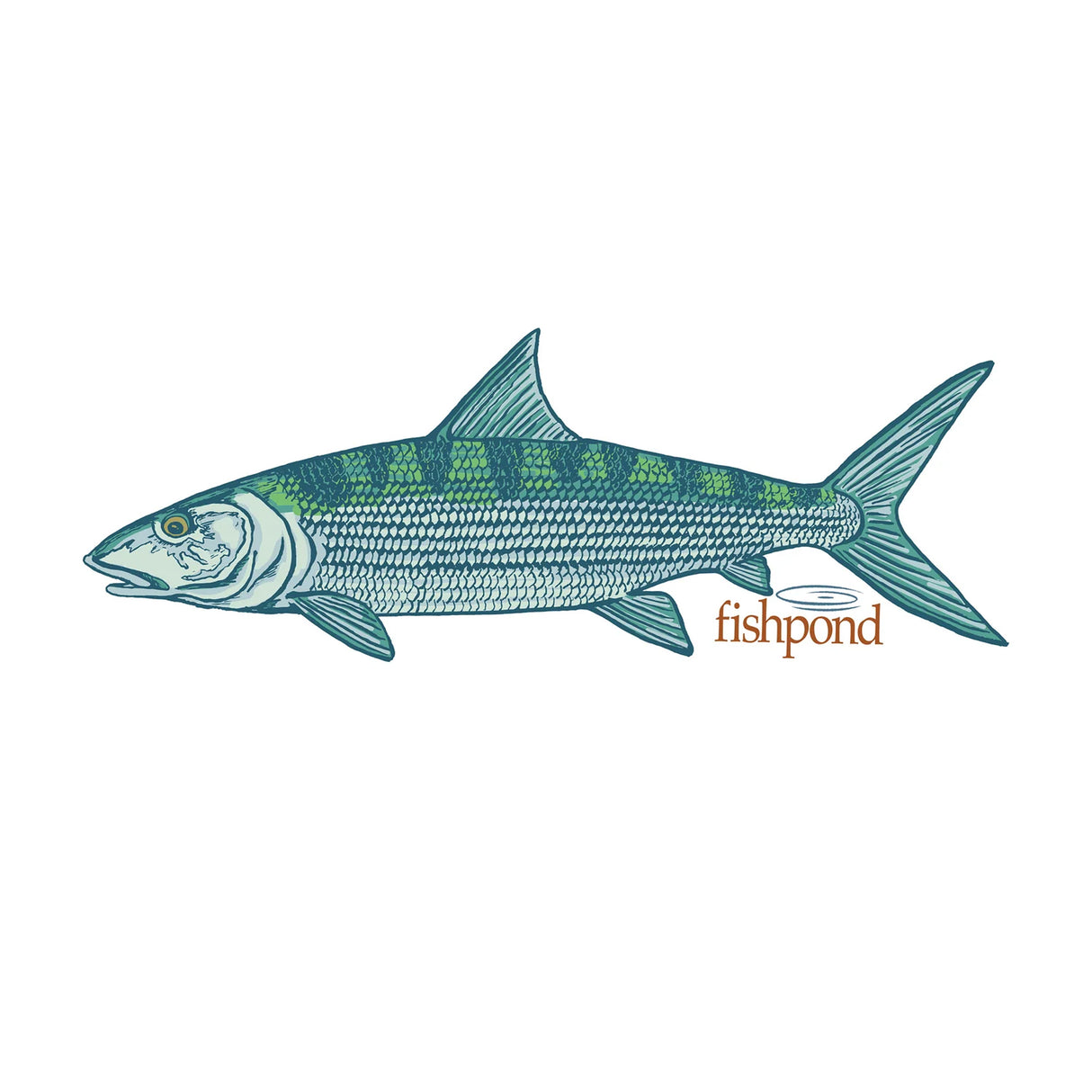 Fishpond Phantom Sticker - 6"