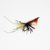 Floating Prawn