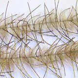 Lively Leg Brush