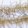 Lively Leg Brush