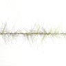 Nymph Dubbing Flash Brush