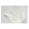 Flashabou