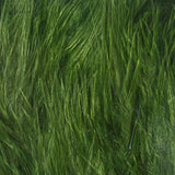 Hareline Woolly Bugger Marabou