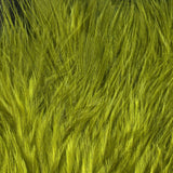 Hareline Woolly Bugger Marabou