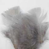 Nature's Spirit Turkey Flats