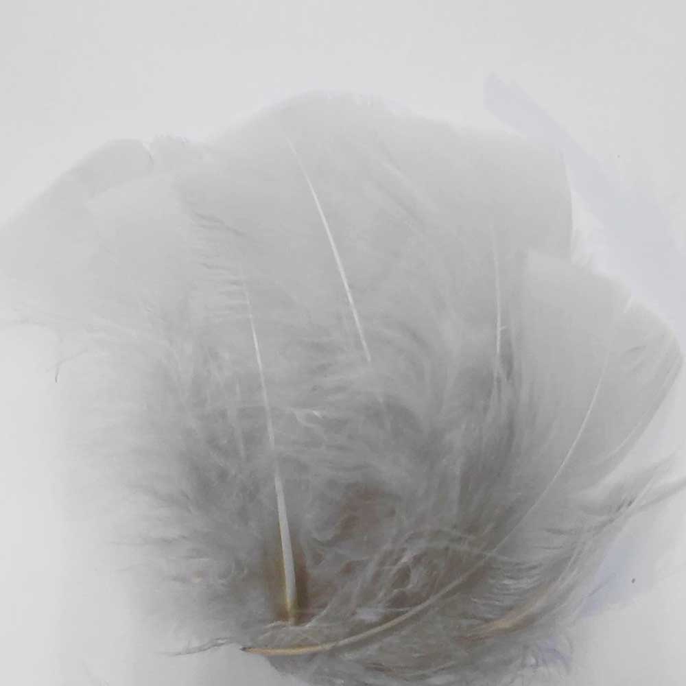 Nature's Spirit Turkey Flats