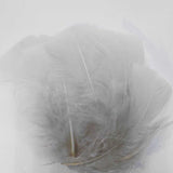 Nature's Spirit Turkey Flats