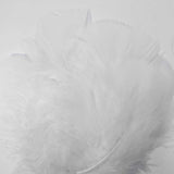 Nature's Spirit Turkey Flats