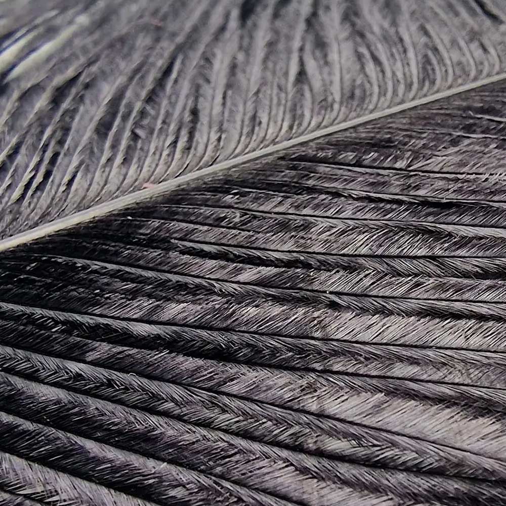 Veniard Ostrich Herl