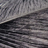 Veniard Ostrich Herl