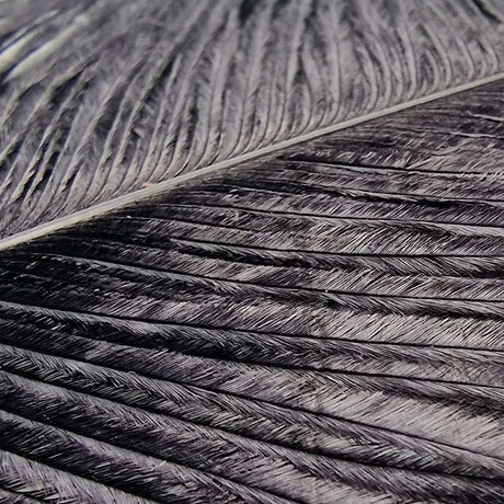 Veniard Ostrich Herl