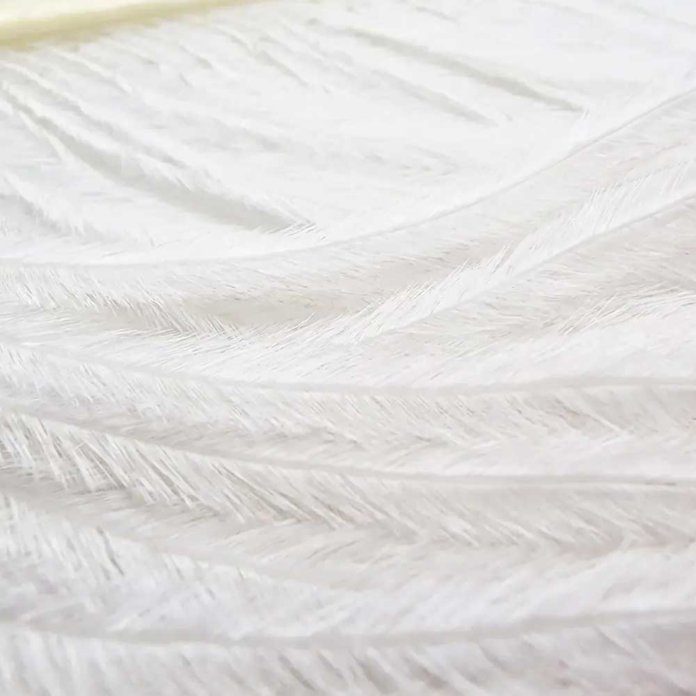 Veniard Ostrich Herl