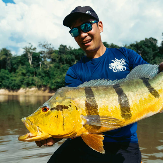 peacock bass fly fishing
