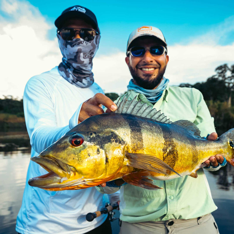 peacock bass fly fishing south africa