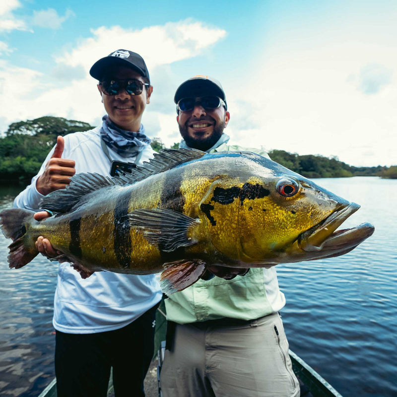 fly fishing peacock bass