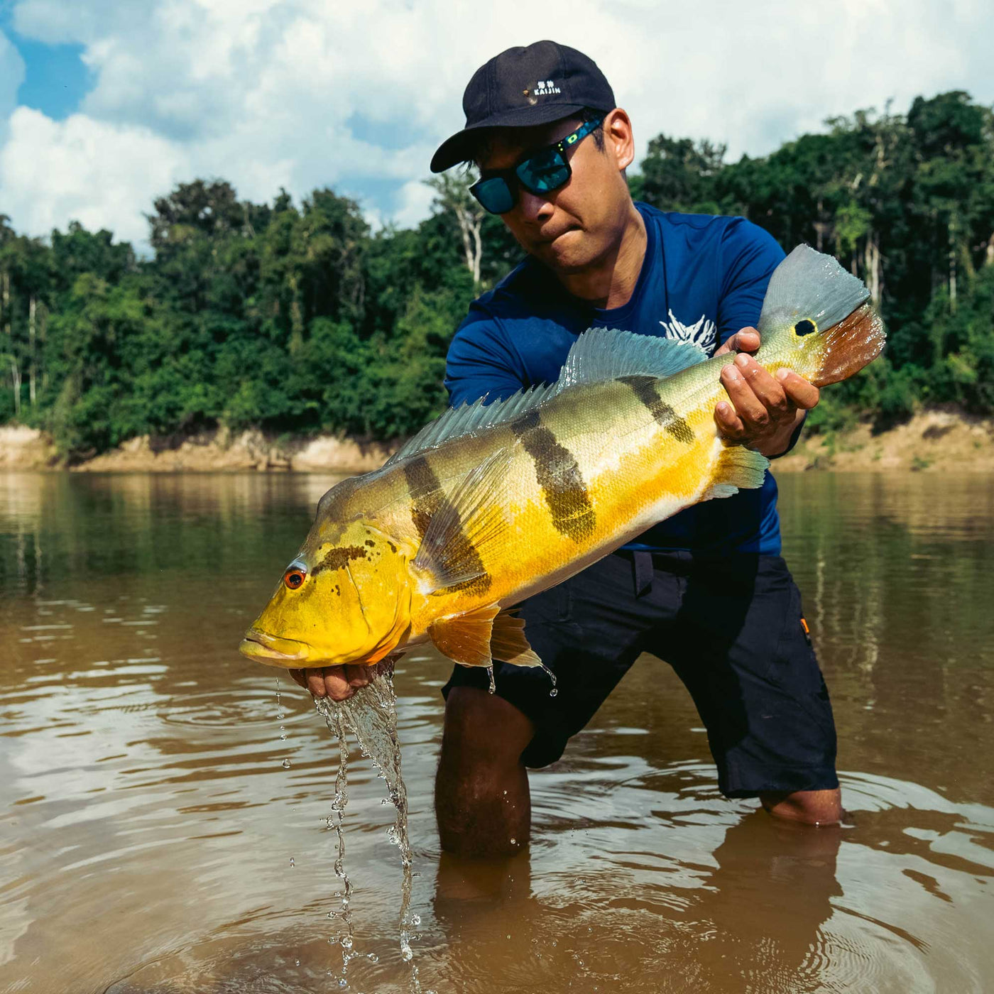 Columbia Peacock bass