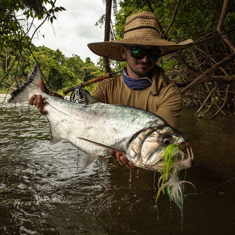 vampire fish fly fishing south africa