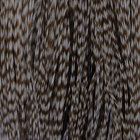 Whiting 1/2 Saddle Bronze